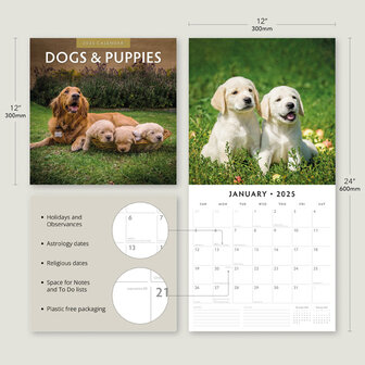 Dogs &amp; Puppies kalender 2025