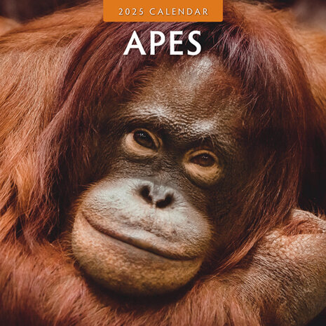 Apes kalender 2025