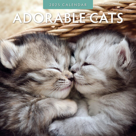 Adorable Cats kalender 2025