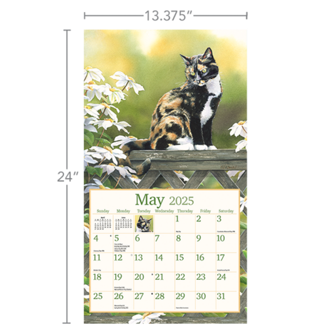 LANG Kalender 2025 Cats in the Country 