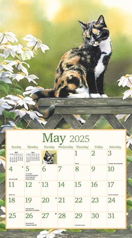 LANG Kalender 2025 Cats in the Country 