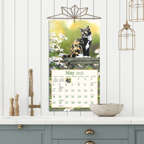 LANG Kalender 2025 Cats in the Country 