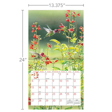 LANG Kalender 2025 Hummingbirds