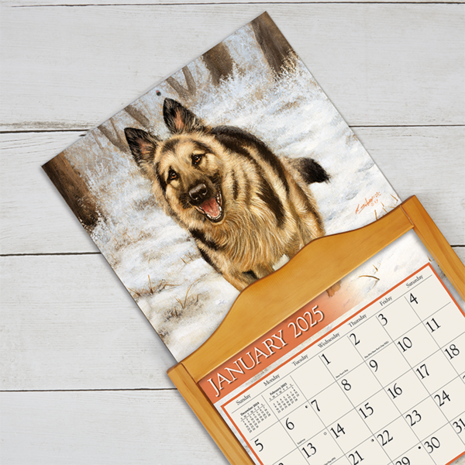 LANG Kalender 2025 Love of Dogs 