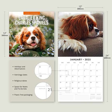 Cavalier King Charles Spaniels kalender 2025