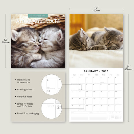 Adorable Cats kalender 2025