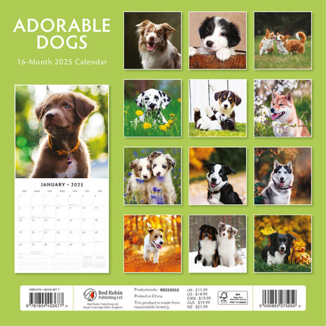 Adorable Dogs kalender 2025