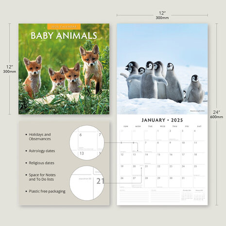 Baby Animals kalender 2025