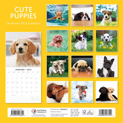 Cute Puppies kalender 2025