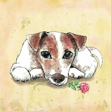 Jack Russell